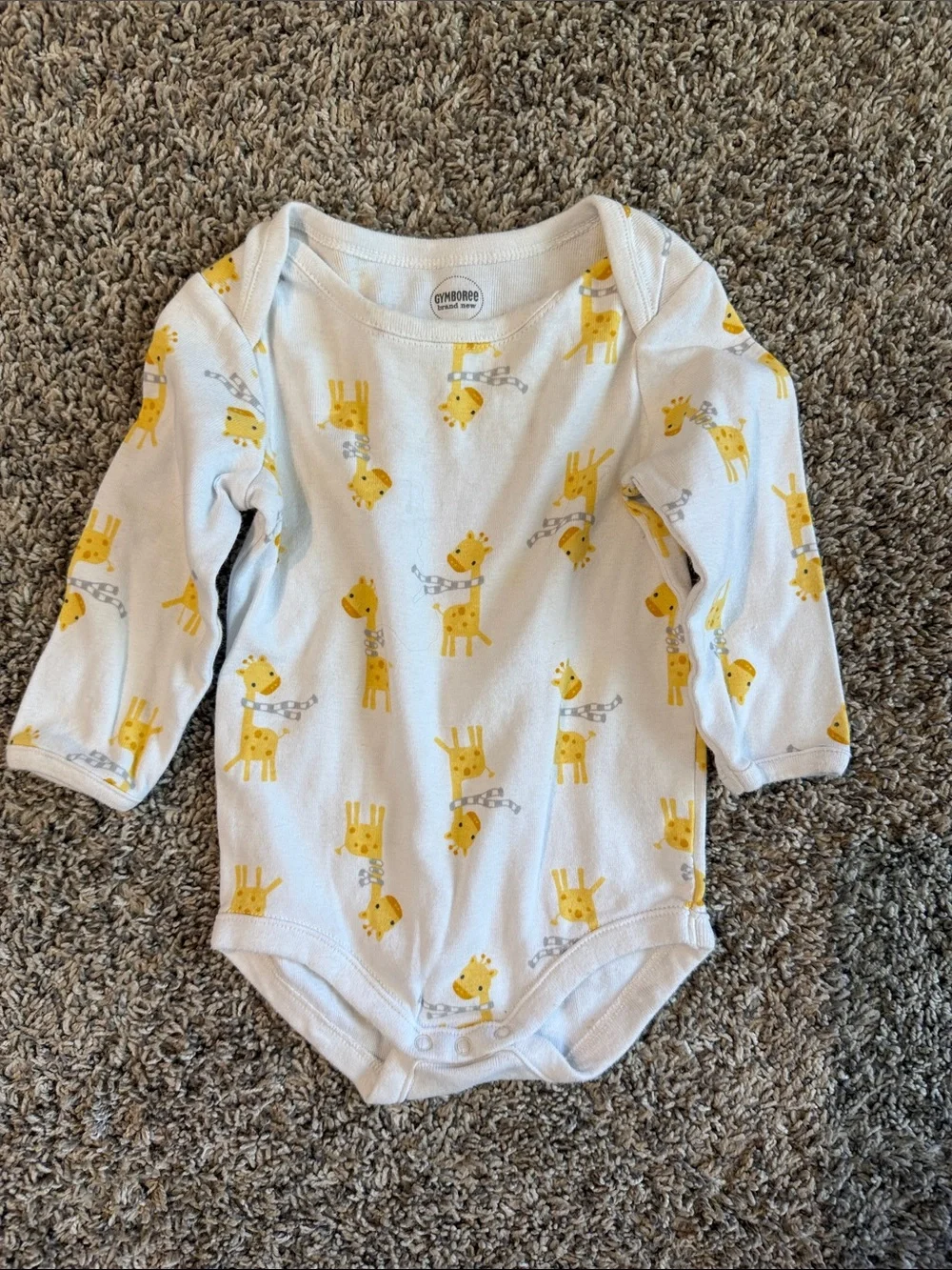 Gymboree lot